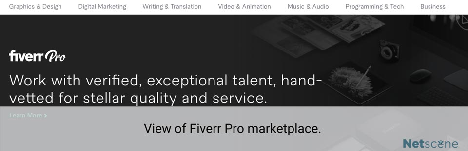 what is fiverr pro?